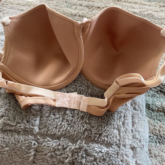 Cleo by Panache bra - Picture 4 of 6